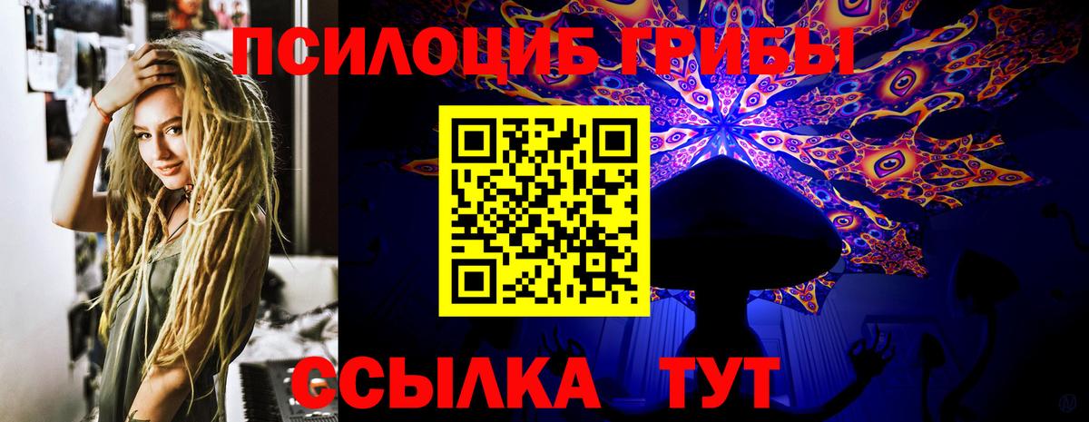 Барнаул  Псилоцибиновые грибы мицелий  Вход с VPN 